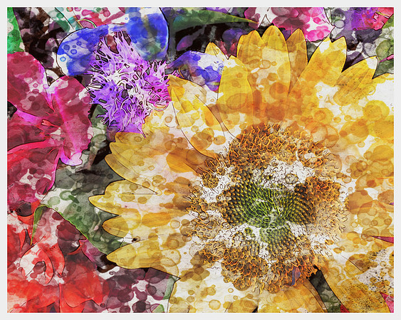 Morning Bouquet